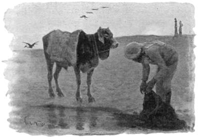 Indian water-carrier with a bullock beside a pool of water.