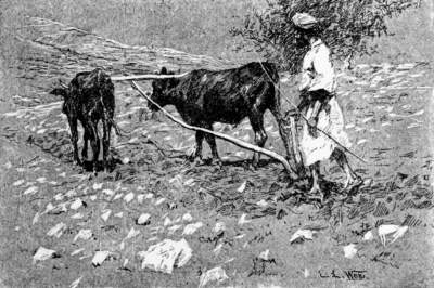 Farmer with a pair of oxen pulling a plough.