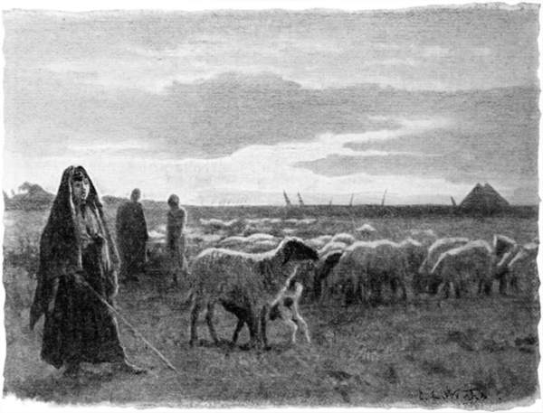 Shepherdess with a flock of sheep.