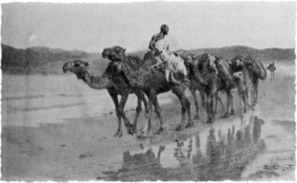 A line of camels along a beach.