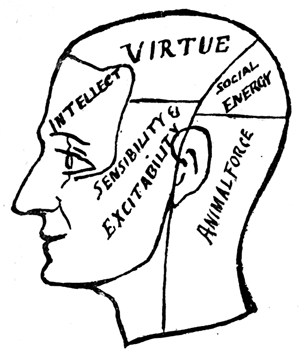 Head with lines and areas marked: Intellect, Virtue, Social Energy, Animal Force, Sensibility & Excitablility.