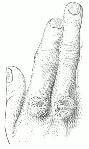 FIG. 50.