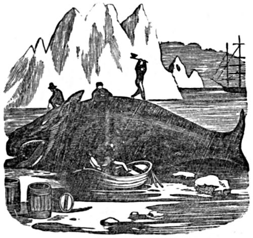 Whalers prepare their work on the grounded carcass of a whale