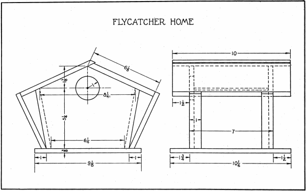 FIG. 27. (FLYCATCHER HOME)