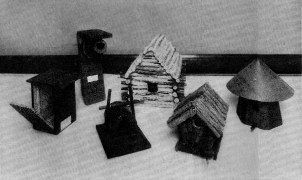 FIG. 29. RUSTIC HOUSES MADE BY PITTSBURGH, PA. BOYS.
