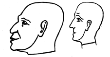 Two heads in profile