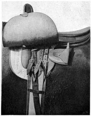 Side-saddle showing placement of stirrup case.