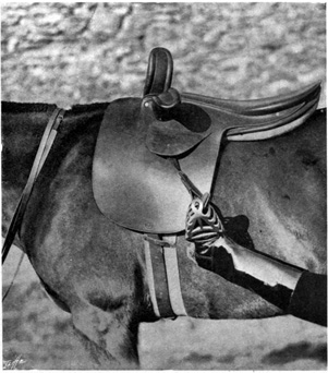 Foot in a Christie stirrup caught as rider falls.