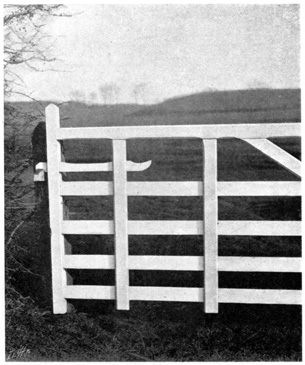 Wooden gate with large latch