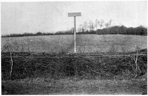 Wire fence with sign