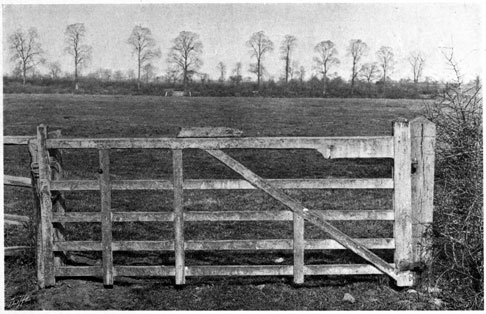 Wooden gate with wire on top