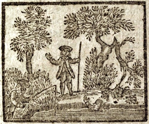 A man, holding a staff, standing in the woods