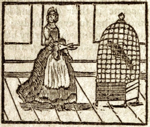 A woman standing in front of a large bird cage that contains a large bird