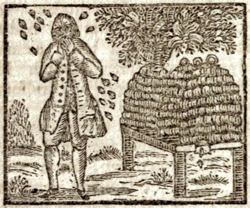 A man standing in front of a bee hive