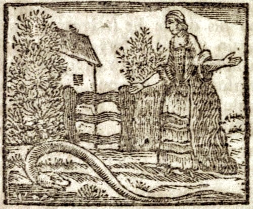A woman looking at a snake on the ground