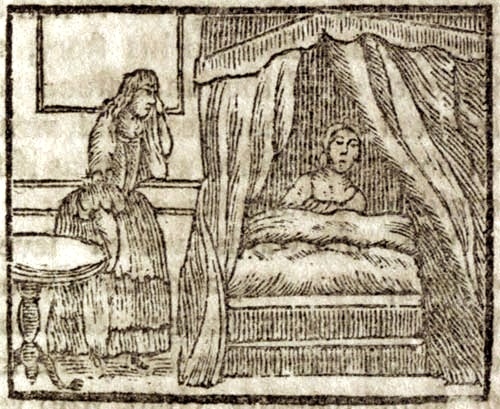 A woman standing by a canopy bed and a woman in the bed
