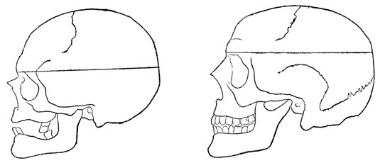 Two profile skulls.