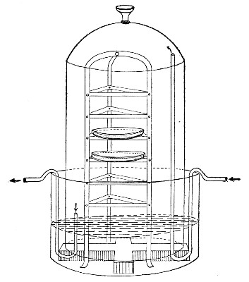 Fig. 134.—Botkin's apparatus.