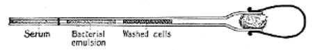 Fig. 195. Opsonin pipette.