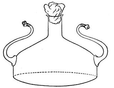 Fig. 33.—Ruffer's flask.