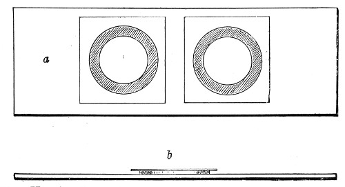 Fig. 62.—Hanging-drop slides: a, Double cell seen from
above; b, single cell seen from the side.