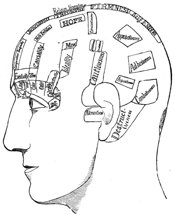 Sketch of head in profile, with areas named on it.