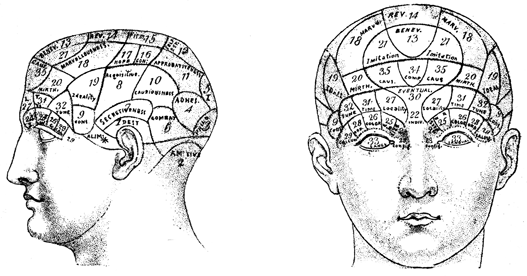 Side and front views of a head with lines and words all over it.