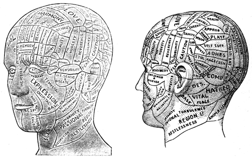 Left front and rear three-quarters views of a head and neck with many more lines and words on it.