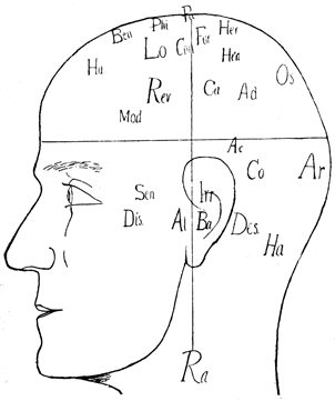 Side view of a head. There are 2-letter abbreviations all over it.