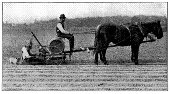 FIG. 20—PLANTING TOMATOES ON A DELAWARE FARM Photo by courtesy of American Agriculturist)