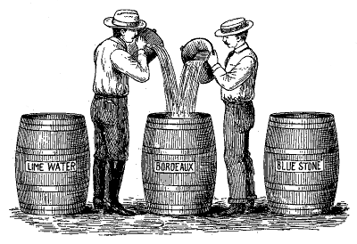FIG. 42—PROPER WAY TO MAKE BORDEAUX (From W. G.
Johnson)