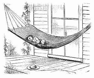 In the hammock