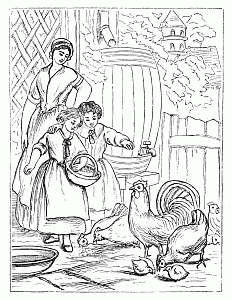 Feeding chickens