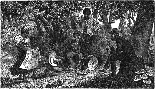 The Escape—fed By Negroes In A Swamp.