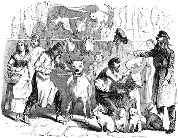 Meat sellers and customers, surrounded by the frozen creatures