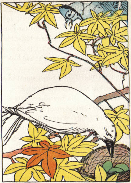 Policeman Blue Jay discovers the
culprit