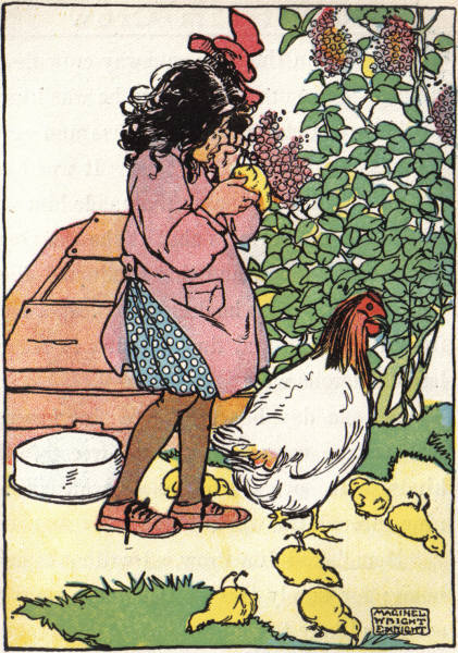 Twinkle mourns for her
chickens