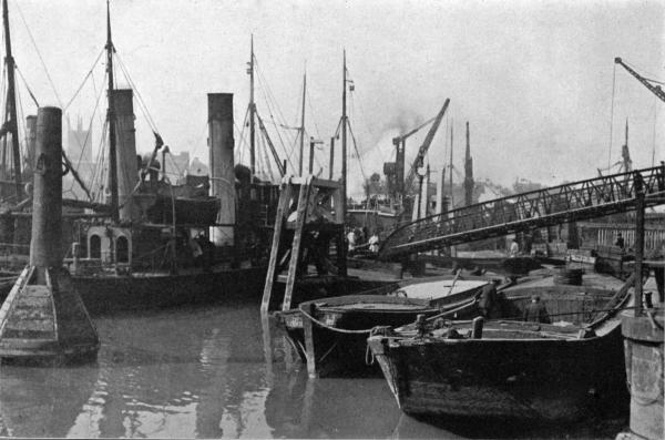 BILLINGSGATE FISH MARKET, LONDON

The Thames Side of the Market, Showing the Steam Carriers Unloading their Cargoes Direct into the Sale Room.