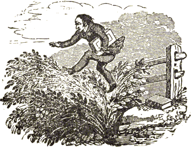 man with book jumping into bush