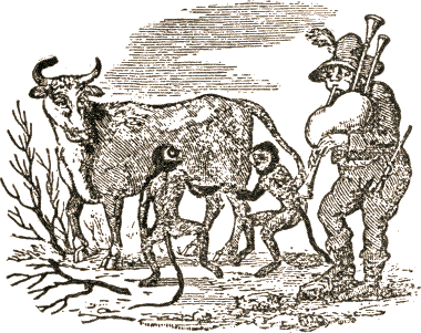 monkeys milking cow, man playing bagpipe
