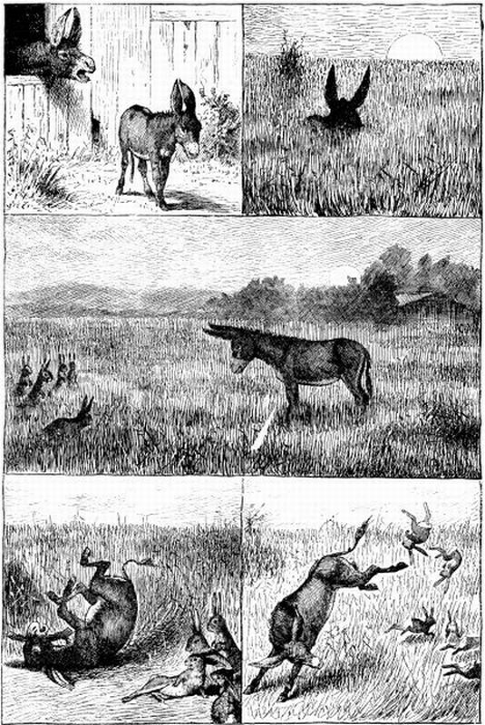 THE WAYWARD DONKEY AND HIS FRIENDS.—From Drawings by W. H. Beard.