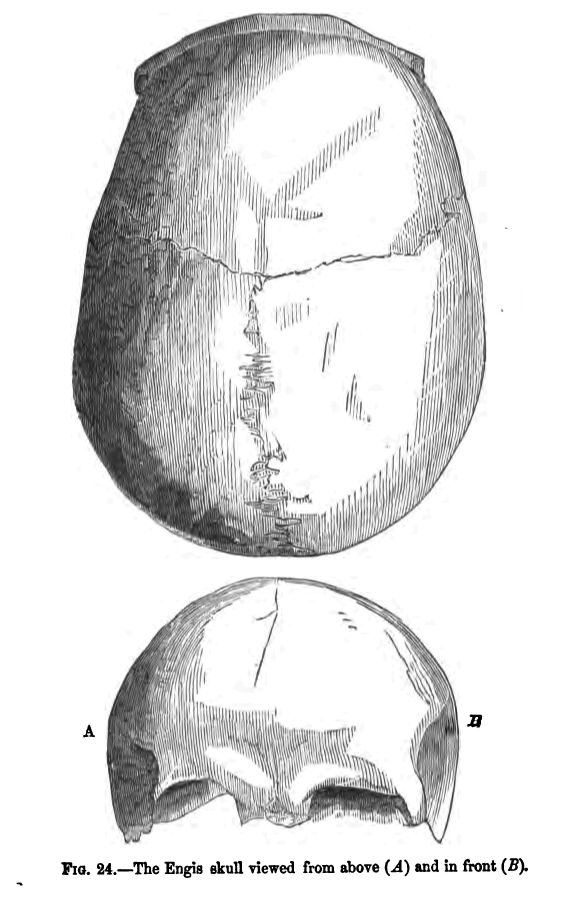 Fig. 24.--the Engis Skull Viewed from Above (a) and In Front (b). 