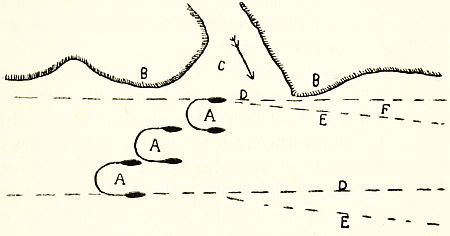 Fig. 29.—Diagram illustrating the effect of tide on minesweeping operations.