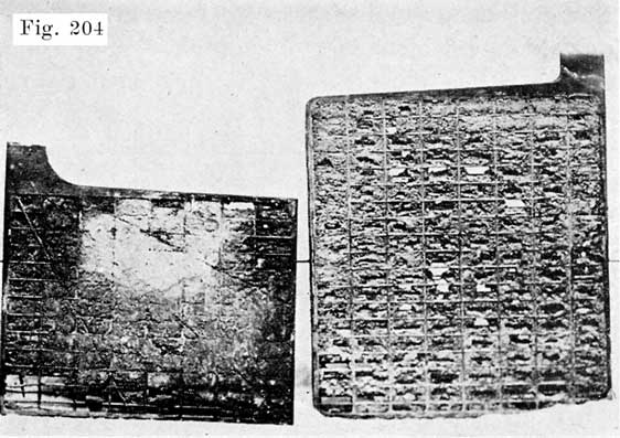 Fig. 204 Examples of diseased negatives