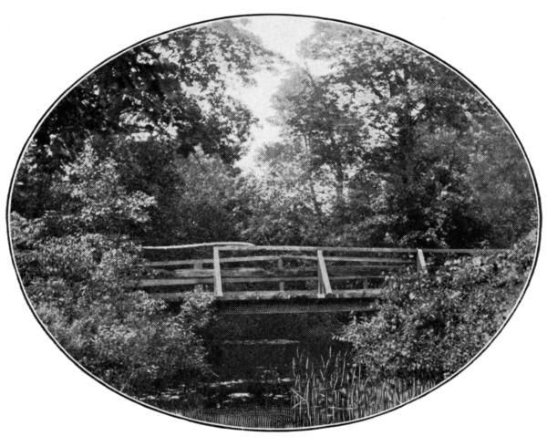 THE HAUNTED BRIDGE OF COUNTRY BROOK