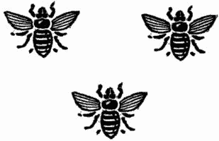 decoration of three bees