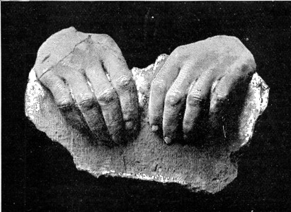SIR STRATFORD CANNING'S HANDS.