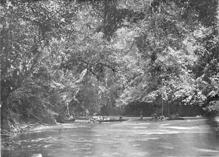 A Scene on the Dapoi River