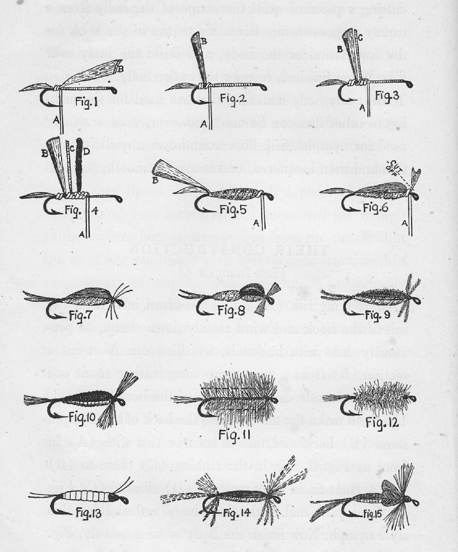 Page sized diagram showing drawings of nymph construction.