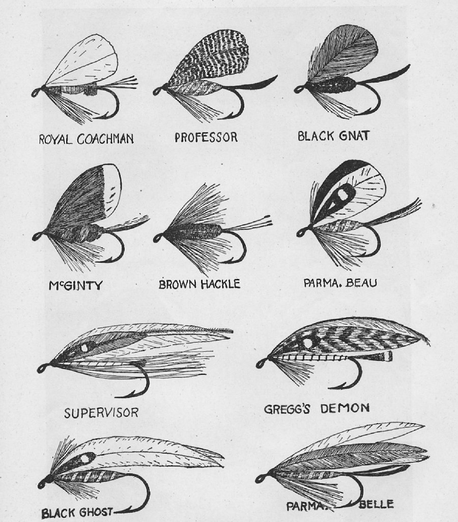 Page sized diagram showing drawings of bass flies.